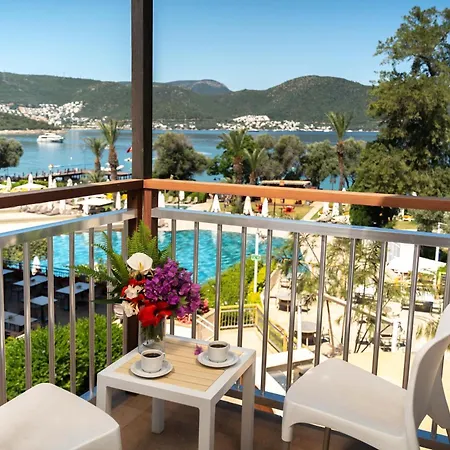 度假村 Doubletree By Hilton Bodrum Isil Club Ultra